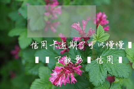 信用卡逾期了可以慢慢還(信用卡逾期了幾分鐘 還了款 影響信用嗎?)