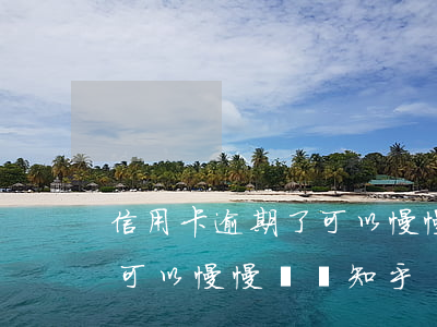 信用卡逾期了可以慢慢還嗎-信用卡逾期了可以慢慢還嗎知乎