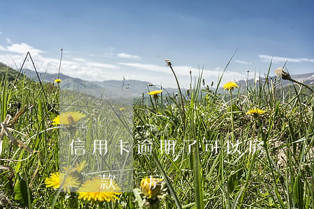信用卡逾期了可以房貸嗎(信用卡逾期了可以貸款買房嗎)