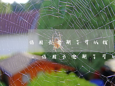 信用卡逾期了可以找銀行協(xié)商嗎-信用卡逾期了可以找銀行協(xié)商嗎
