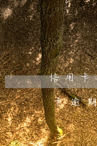 信用卡逾期了可以把房子賣了嗎 房主有信用卡逾期會影響賣房子過戶嗎