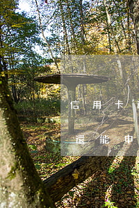 信用卡逾期了可以支付寶還款么 支付寶逾期還能申請(qǐng)信用卡?