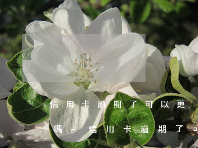 信用卡逾期了可以更換電話號(hào)碼嗎-信用卡逾期了可以更換電話號(hào)碼嗎怎么辦