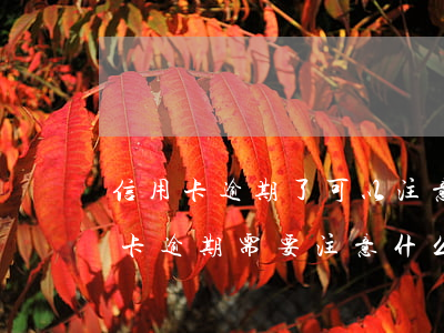信用卡逾期了可以注意什么(去銀行處理信用卡逾期需要注意什么)