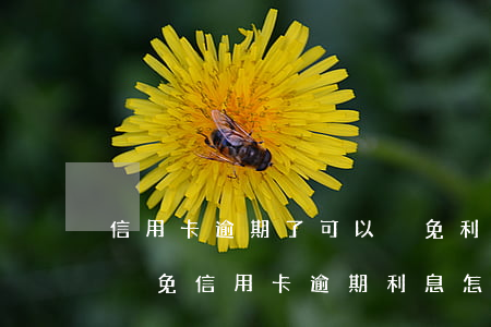 信用卡逾期了可以減免利息么-向銀行申請減免信用卡逾期利息怎么申請