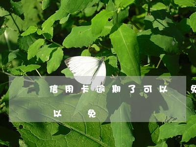 信用卡逾期了可以減免還嗎 信用卡逾期了可以減免還嗎嗎