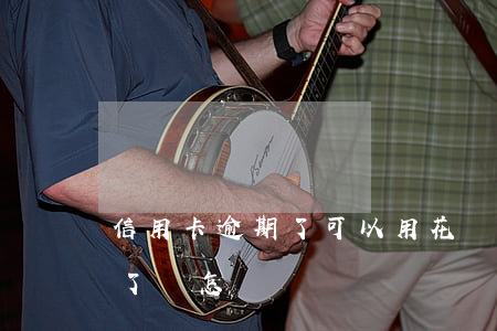 信用卡逾期了可以用花唄(信用卡和花唄逾期了會怎樣)