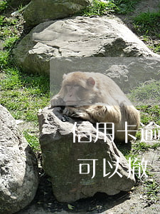 信用卡逾期了可以申訴撤銷嗎 申請了信用卡可以撤銷嗎