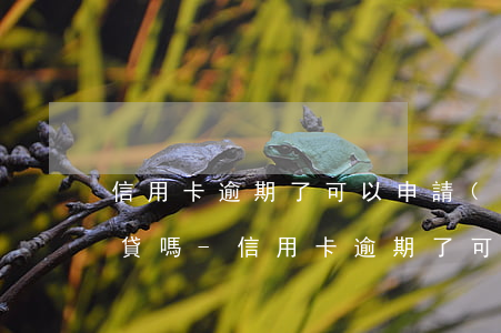 信用卡逾期了可以申請(qǐng)眾安小貸嗎-信用卡逾期了可以申請(qǐng)眾安小貸嗎安全嗎