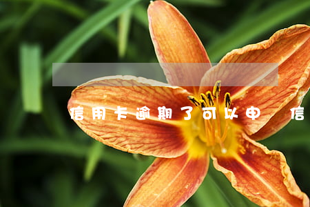 信用卡逾期了可以申請信用卡嗎