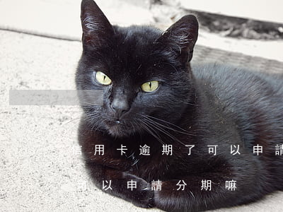 信用卡逾期了可以申請分期嘛（信用卡逾期了可以申請分期嘛）