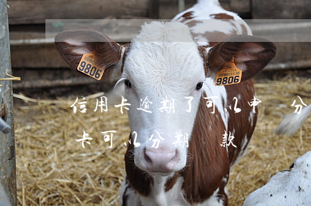 信用卡逾期了可以申請分期還款(逾期的信用卡可以分期還款嗎)