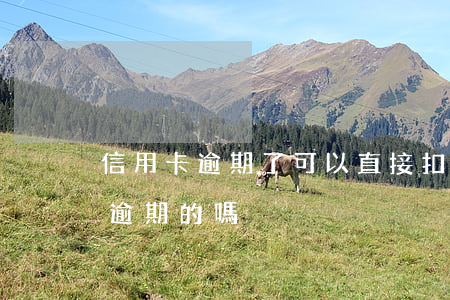 信用卡逾期了可以直接扣款嗎(有處理信用卡逾期的嗎)