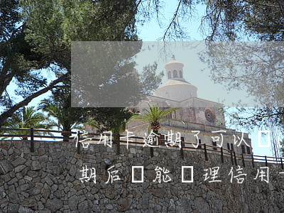信用卡逾期了可以護(hù)照嗎(信用卡逾期后還能辦理信用卡嗎)
