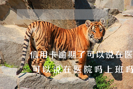 信用卡逾期了可以说在医院吗(信用卡逾期了可以说在医院吗上班吗)