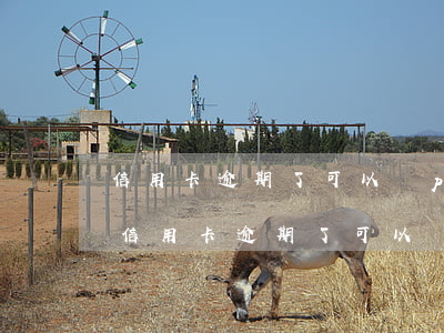 信用卡逾期了可以辦pos機(jī)嗎-信用卡逾期了可以辦pos機(jī)嗎安全嗎