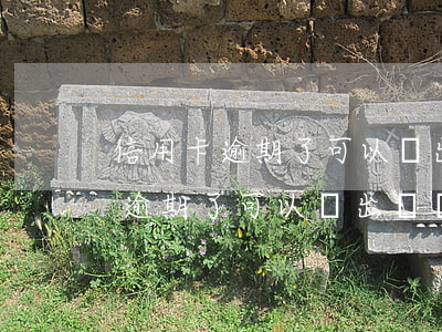 信用卡逾期了可以辦出國勞務證嗎-信用卡逾期了可以辦出國勞務證嗎