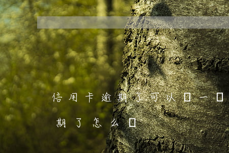 信用卡逾期了可以還一點嗎(有一張信用卡逾期了怎么辦)