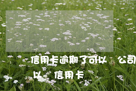 信用卡逾期了可以開公司賬戶嗎(逾期的人可以辦信用卡嗎)