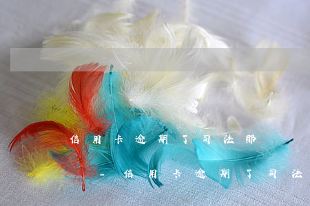 信用卡逾期了司法那邊會(huì)幫忙催嗎-信用卡逾期了司法那邊會(huì)幫忙催嗎是真的嗎