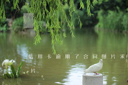 信用卡逾期了合同图片(求一张信用卡逾期图片)