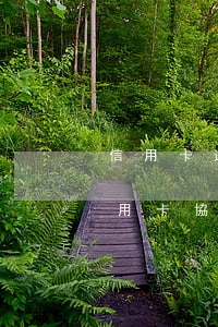 信用卡逾期了和銀行協(xié)商還款(信用卡協(xié)商還款后征信還會(huì)一直逾期嗎)