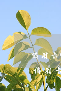 信用卡逾期了哪个网贷能过的(逾期最好下的信用卡)