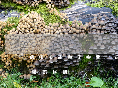 信用卡逾期了哪里還可以借錢(目前還逾期哪里可以借錢)