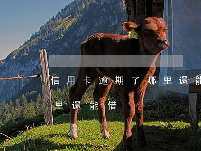 信用卡逾期了哪里還能借款（信用卡逾期了哪里還能借）