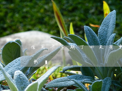 信用卡逾期了四天有影響嗎(信用卡逾期4天影響)