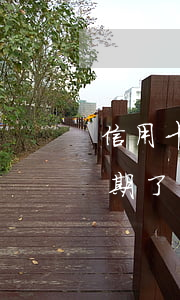 信用卡逾期了在平台能借到钱吗-信用卡逾期了在平台能借到钱吗安全吗