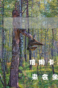 信用卡逾期了坐牢出来 信用卡逾期了坐牢出来会坐牢吗