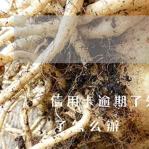 信用卡逾期了外訪怎么辦 國外的信用卡逾期了怎么辦