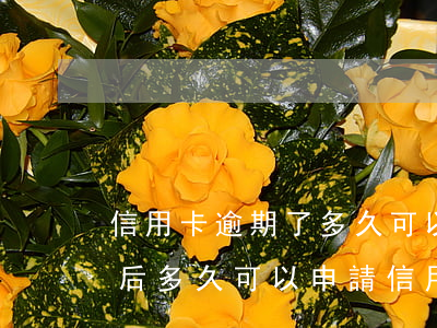 信用卡逾期了多久可以再次申請 逾期處理之后多久可以申請信用卡?
