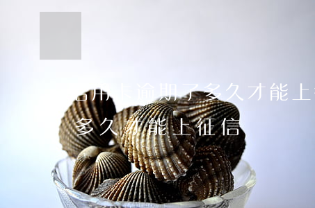 信用卡逾期了多久才能上征信(信用卡逾期了多久才能上征信)