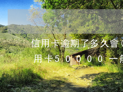 信用卡逾期了多久會(huì)有案底(欠信用卡50000一般逾期多久會(huì)立案)