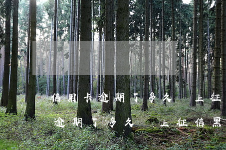 信用卡逾期了多久會上征信黑名單-信用卡逾期了多久會上征信黑名單呢