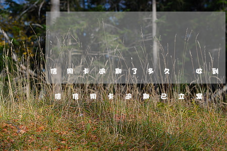 信用卡逾期了多久會收到短信 發(fā)短信信用卡逾期已立案