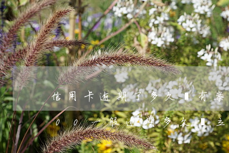 信用卡逾期了多久會有案底(欠信用卡50000一般逾期多久會立案)