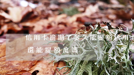 信用卡逾期了多久能提額(信用卡逾期了以后還能提額度嗎?)