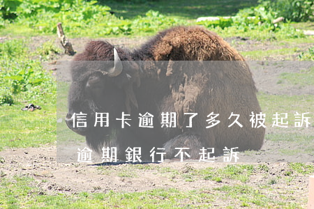 信用卡逾期了多久被起訴工商(為什么信用卡逾期銀行不起訴)