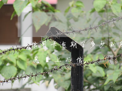 信用卡逾期了多少利息(信用卡逾期了多少利息會上征信)