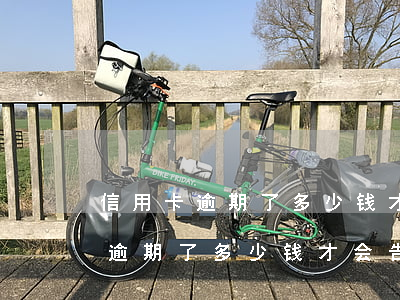 信用卡逾期了多少钱才会告上法庭-信用卡逾期了多少钱才会告上法庭呢