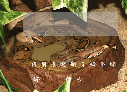 信用卡逾期了好不好辦-信用卡逾期了好不好辦銀行卡