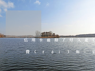 信用卡逾期了好久產(chǎn)生了哪些費(fèi)用-信用卡逾期了好久產(chǎn)生了哪些費(fèi)用呢