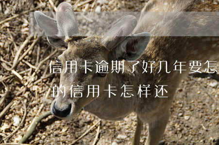 信用卡逾期了好几年要怎么还款-逾期几年的信用卡怎样还