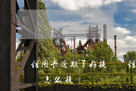 信用卡逾期了好提額嗎(信用卡逾期了好提額嗎怎么提)