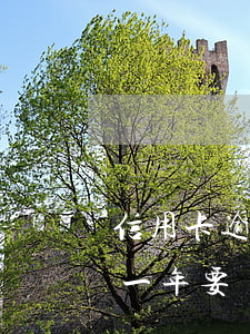信用卡逾期了如何借倆萬(信用卡二萬元逾期一年要還多少)