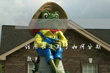 信用卡逾期了如何分期還款(分期逾期怎么還款)