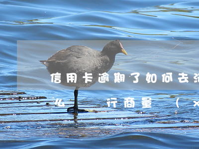 信用卡逾期了如何去法院協(xié)商(怎么與銀行商量協(xié)商信用卡逾期還款事宜)